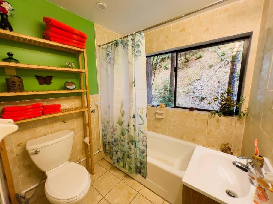 Little House In The Redwoods With A Hot Tub! Apartman Garberville Kültér fotó