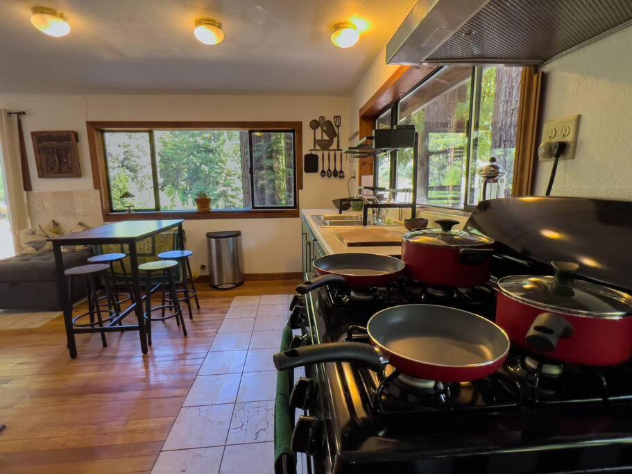 Little House In The Redwoods With A Hot Tub! Apartman Garberville Kültér fotó