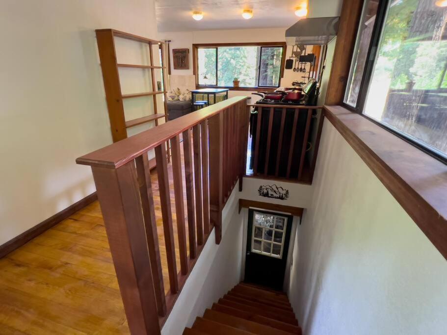 Little House In The Redwoods With A Hot Tub! Apartman Garberville Kültér fotó