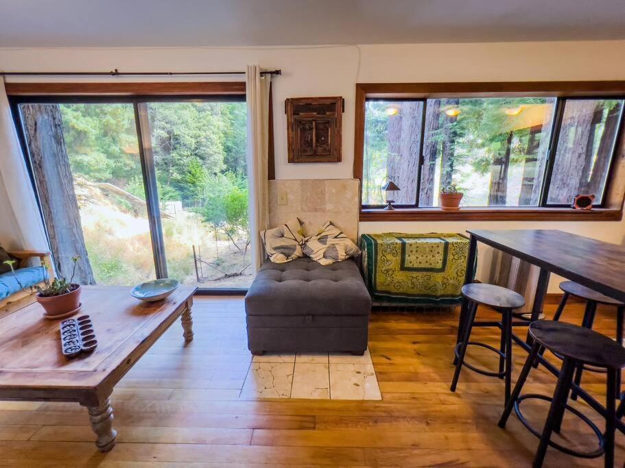 Little House In The Redwoods With A Hot Tub! Apartman Garberville Kültér fotó
